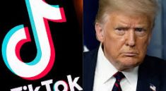 Can TikTok Decide the Next President? The Viral Truth