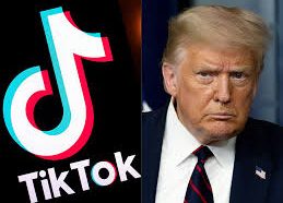 Can TikTok Decide the Next President? The Viral Truth