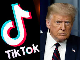 Can TikTok Decide the Next President? The Viral Truth