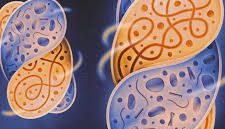 Synthetic Biology : Creating Life in the Lab!