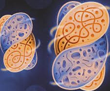 Synthetic Biology : Creating Life in the Lab!