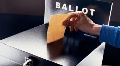 Inside the Mind of a Voter: What Drives Political Decisions Today?