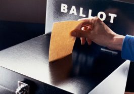 Inside the Mind of a Voter: What Drives Political Decisions Today?