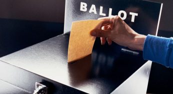 Inside the Mind of a Voter: What Drives Political Decisions Today?